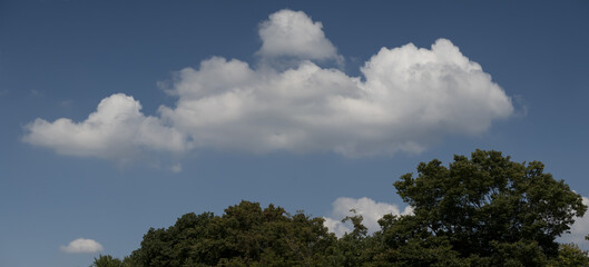 空 雲 木 cloud, sunny, tree	
