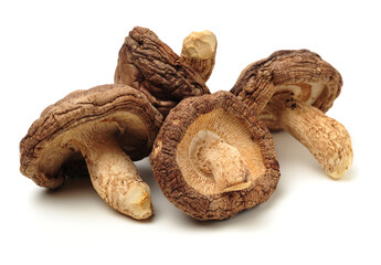 Shiitake mushroom on the White background 