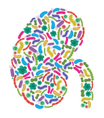 Kidney made of Bacteria isolated on white background. Vector illustration.