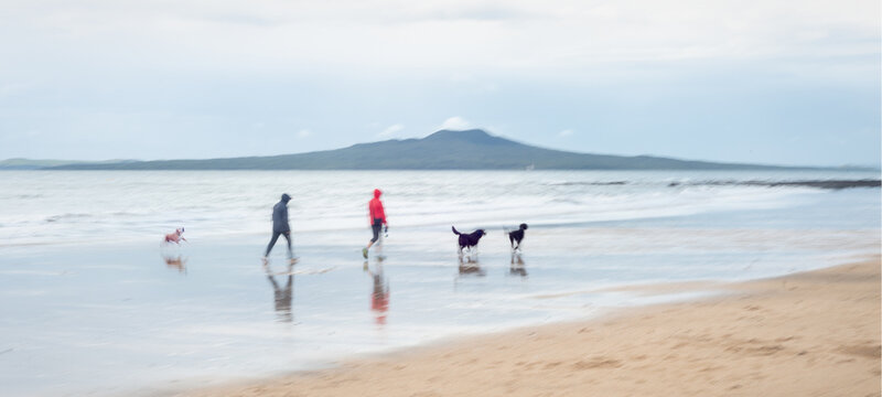 People and dogs walking on Milford beach, Rangitoto Island in the background, Auckland. Image taken using intentional camera movement technique.