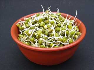Sprouted mung beans in a bowl on black background 