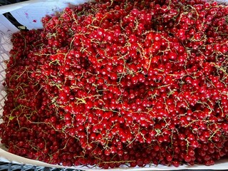 Close up of red currants on sale at local farmers market.