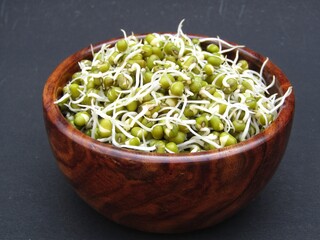 Sprouted mung beans in a bowl 