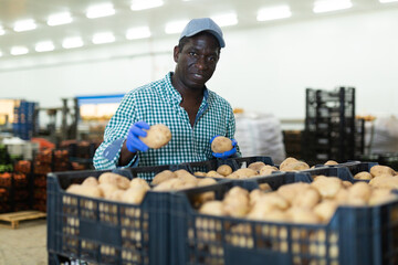 Hired food warehouse worker checks the quality of the harvested potato crop