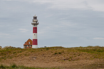 Fototapeta na wymiar lighthouse in a dry landscape