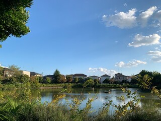 Fototapeta premium 春日部の大池親水公園