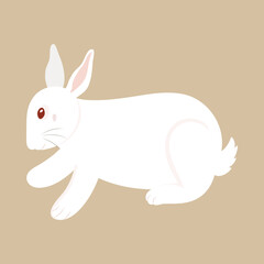 Illustration Of Cute Rabbit Character On Brown Background.