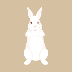 Illustration Of Cute Rabbit Standing On Brown Background.