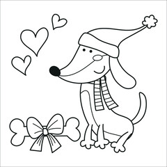 Funny dachshund with a Santa's hat, it love its bone present, illustration