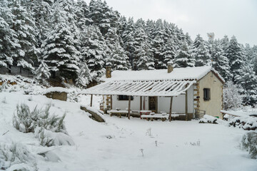 Avila, Spain,  rural house in a beautiful snowy environment with large trees covered with snow.