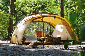 camping in the forest - obrazy, fototapety, plakaty