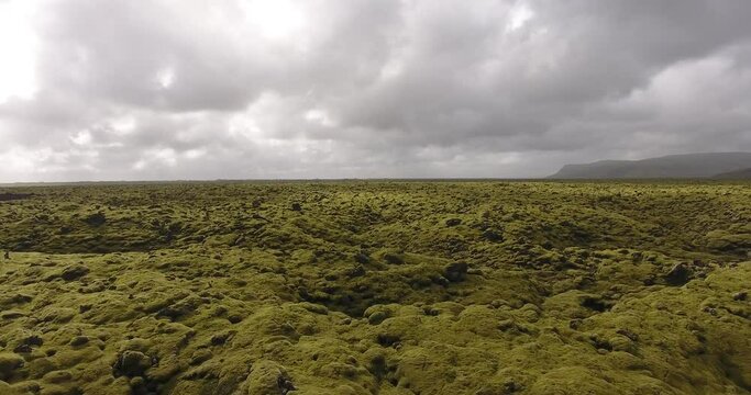Ancienne coul&eacute;e de lave recouverte de mousse en Islande