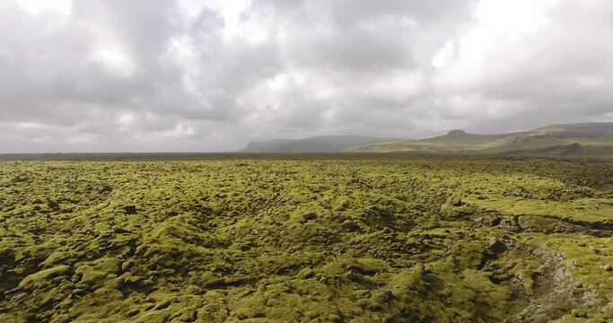 Ancienne coul&eacute;e de lave recouverte de mousse en Islande