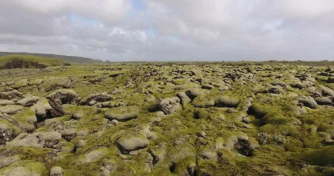 Ancienne coul&eacute;e de lave recouverte de mousse en Islande