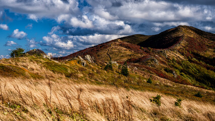 The palette of autumn colors in the mountains. Bukowe Berdo, Bieszczady National Park, Carpathians, Poland.