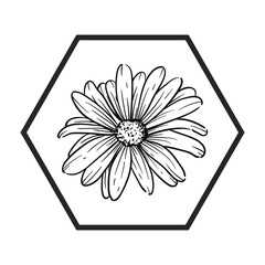 black and white flower