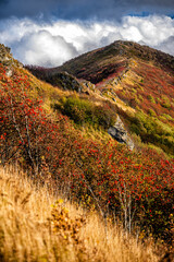 The palette of autumn colors in the mountains. Bukowe Berdo, Bieszczady National Park, Carpathians, Poland.