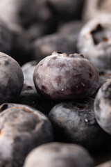 Blueberries in water droplets, blueberries close-up macro