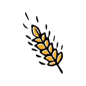 Simple wheat icon on white background, spike hand drawing doodle style