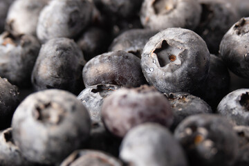 Blueberries in water droplets, blueberries close-up macro