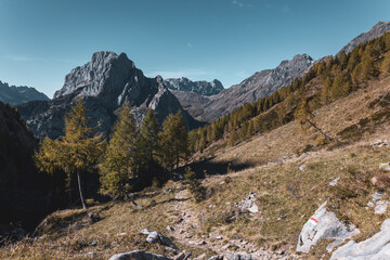 Fototapeta na wymiar The Carnic Alps in a colorful autumn day