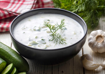Traditional delicious appetizer; tzatziki (Turkish name; cacik)