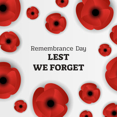 Red poppy flowers in white background. suitable for remembrance day lest we forget