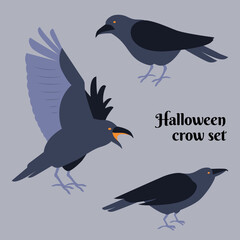 Halloween crow set. Realistic crows.