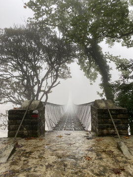 Bridge in the misty wood