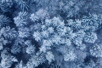 Travel in winter. Snowy forest road at winter.