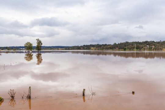 Two trees in flooded farm paddock with fence underwater