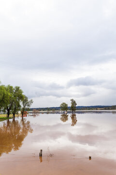 Two trees in flooded farm paddock with fence underwater