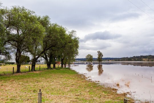 Floodwaters rising up towards farm paddock during natural disaster flood event