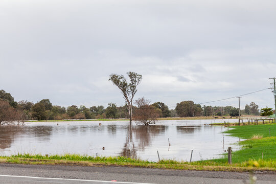 flooded paddock beside river
