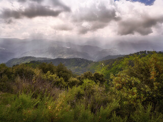 Forest landscape with mountains in the background under a cloudy sky