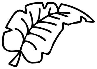 Line art plant. PNG with transparent background.
