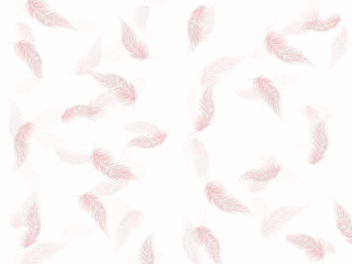 White-pink feather pattern.  Background image for graphic design in PNG file format.