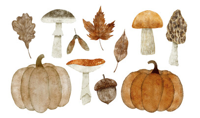 Autumn Watercolor Set. Mushrooms, pumpkins, leaves, acorns
