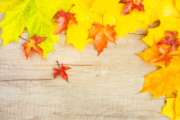 Background of many yellow maple leaves with space for text on a wooden background. Autumn Leaf Background