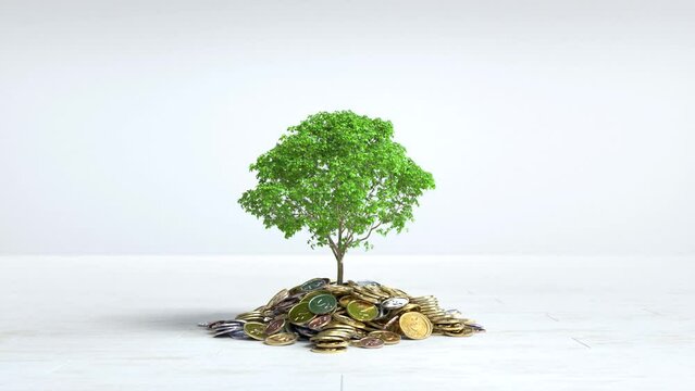 Tree growing on a pile of coins, Saving money concept