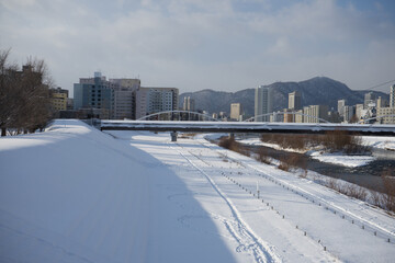 Fototapeta premium 冬の川辺の風景