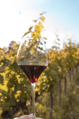 glass of wine in tuscany