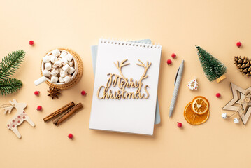 Christmas concept. Top view photo of diary merry christmas wooden text pen ornaments pine branch cone cup of cocoa with marshmallow mistletoe dried orange slices cinnamon on isolated beige background