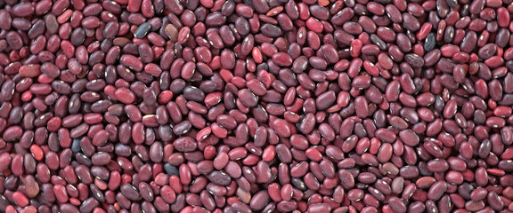 Kidney beans background. Dry red bean wallpaper. Texture. Frame with copy space. Lots of Beans. Close up. Diet, vegetarianism. Healthy Food. Legume grains. Horizontal Banner. Copy Space for Text