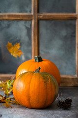 Two pumpkins by the window and autumn leaves