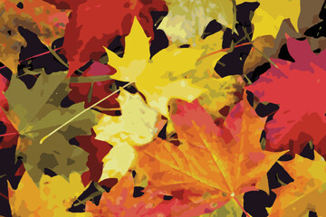 Closeup nature view of red and yellow maple leaves vector background. Flat lay, colorful nature concept, maple leaf, group background, autumn, fall premium illustration