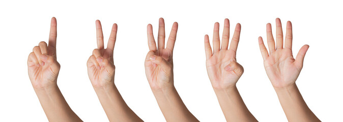 PNG of Closeup Beautiful female hand count from one to five gestures Isolated on blank white background. Set of woman palms raised fingers gesture numbers concept for people thumbnail. transparent png
