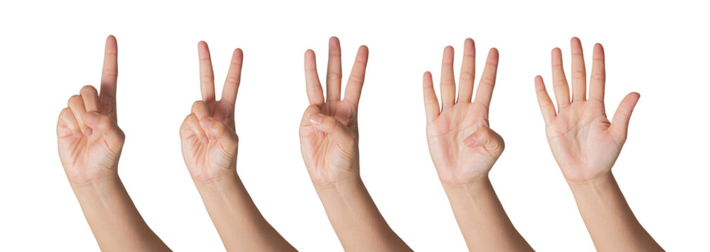 Closeup Beautiful female hand count from one to five gestures Isolated on blank white background. Set of woman palms raised fingers gesture numbers concept for people thumbnail. transparent png