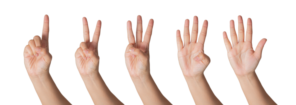 PNG of Closeup Beautiful female hand count from one to five gestures Isolated on blank white background. Set of woman palms raised fingers gesture numbers concept for people thumbnail. transparent png