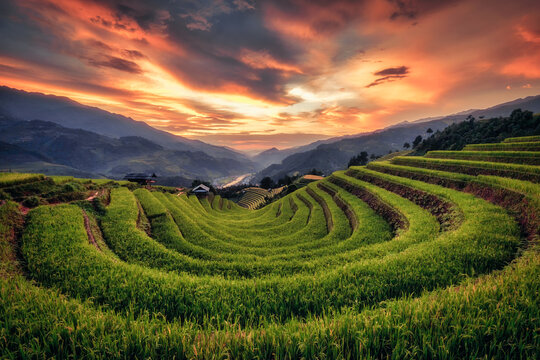 Beautiful scenery of rice terrace fields at Mu Cang Chai in northern Vietnam during sunset time. Vietnam landscapes.